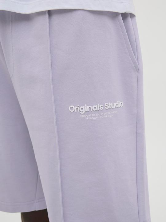 Image du produit Jack & Jones Jpstkane Vesterbro Sweat Shorts Lng Sn (XS)