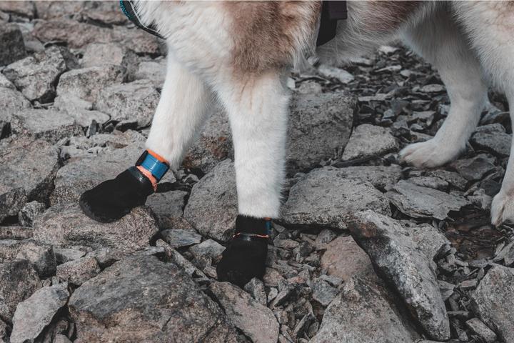 Produktbild Non-Stop Dogwear Protector (M, Hundebademantel)