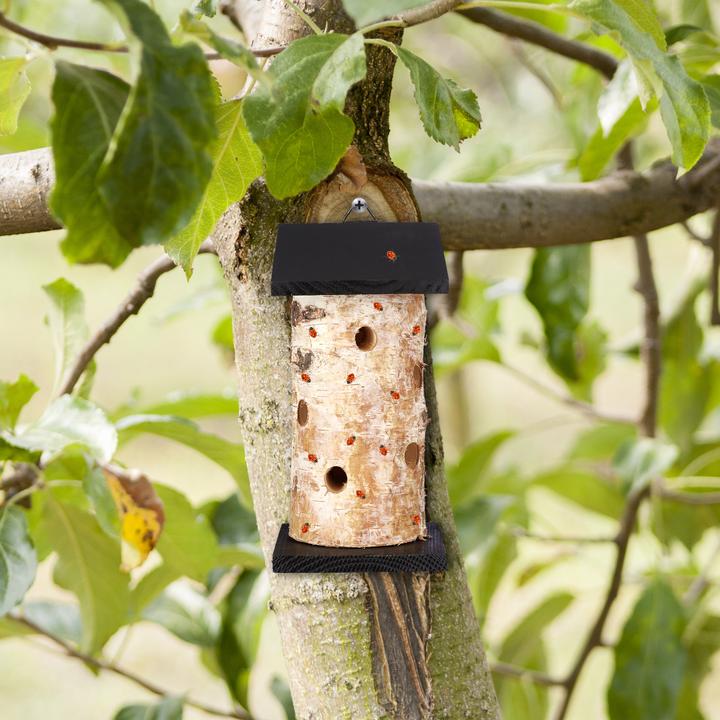 Actual product image Relaxdays Ladybird house (Ladybirds)