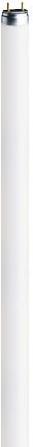 Produktbild Osram Röhre (G5, 8 W, 420 lm, 1 x, G)