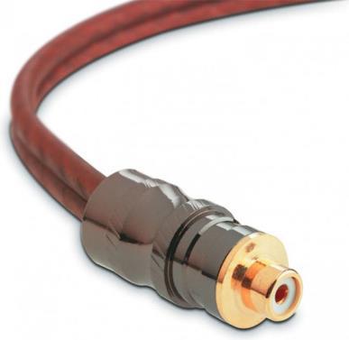 Produktbild Focal EY5, Y-RCA (2 Kabel) (0.50 m, 1.50 mm²)