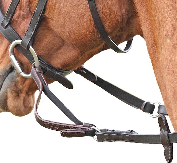 Image du produit Shires UTER296 P