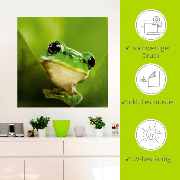 Produktbild Artland Ausspähender Frosch T5VH (50x50 cm)