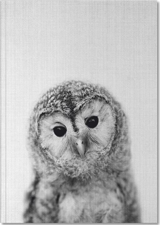 Produktbild Juniqe Eule-Schwarz-Weiss-Fotografie (A4, Gepunktet, Harter Einband)