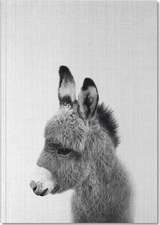 Actual product image Juniqe Donkey Black | White Photograph (A4, Lined)