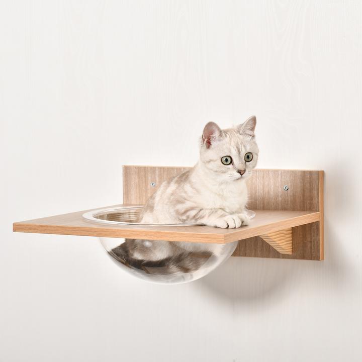 Produktbild PawHut Katzenkletterwand bestehend aus 4 Teilen (17.50 cm, Hellbraun)