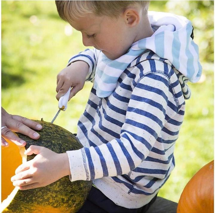 Immagine prodotto Creativ Company Strumento per intagliare la zucca