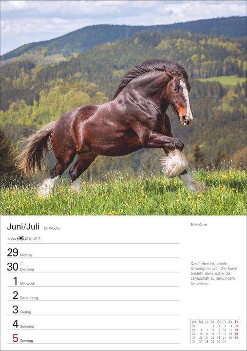 Produktbild Harenberg Pferde Wochenplaner 2026 - 53 faszinierende Fotografien (Deutsch)