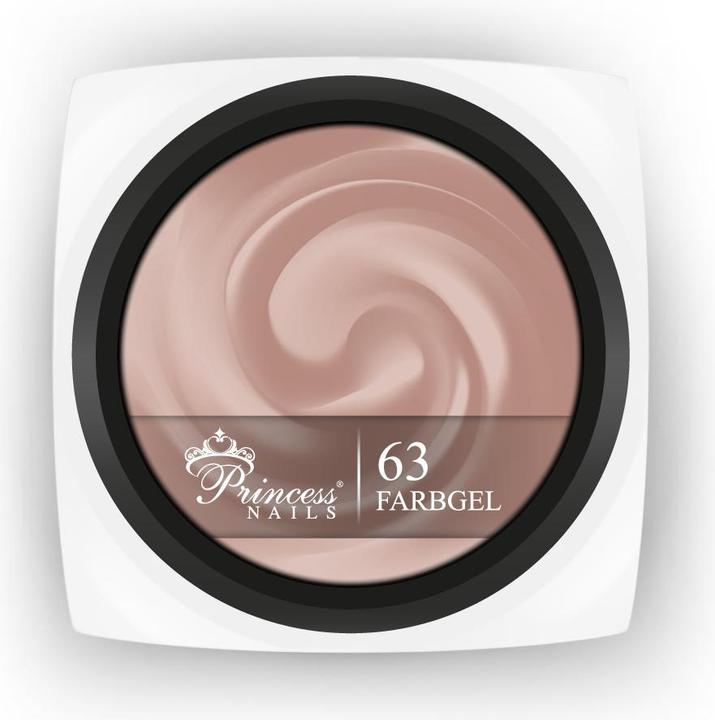 PrincessNails Farbgel 63