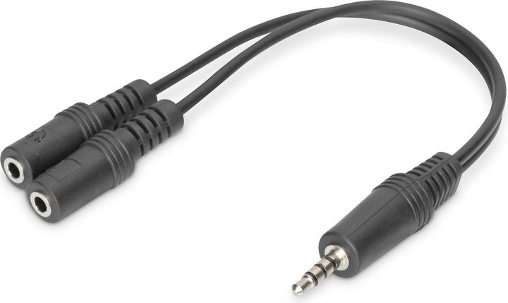 Image du produit Digitus Câble adaptateur pour casque d'écoute TRRS (Adaptateur de casque)