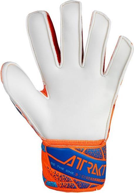 Produktbild Reusch Attrakt Solid (8)
