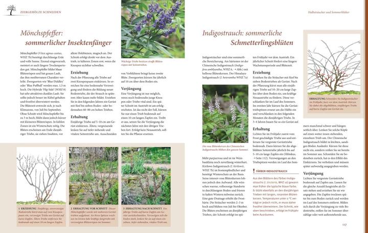Produktbild Das grosse Praxishandbuch Pflanzenschnitt (Deutsch, Hansjörg Haas, 2023)