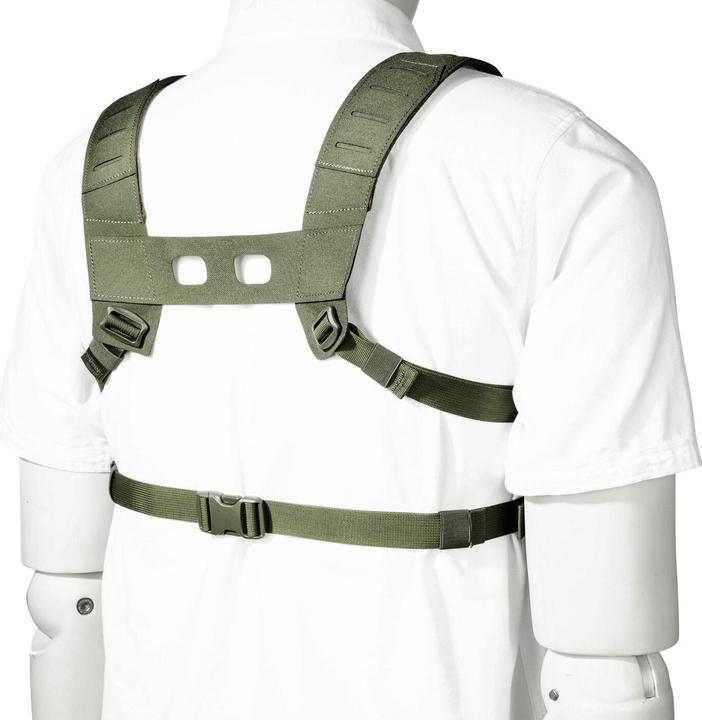 Produktbild Tasmanian Tiger TT Small Combi Rig Olivgrün
