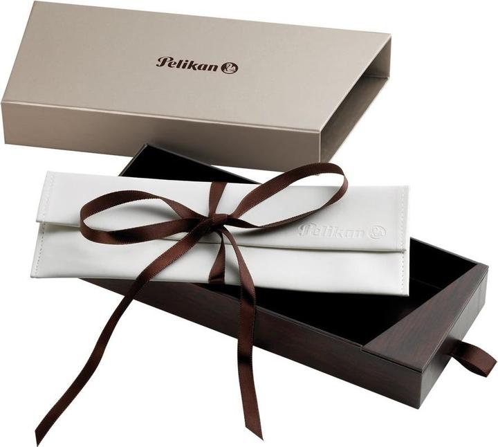 Actual product image Pelikan Writing instrument case G5
