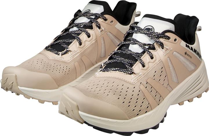 Image du produit Mammut Saentis TR Low GTX Women (38)