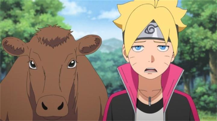 Actual product image Boruto: Naruto Next Generations - Volume 13 (Blu-ray, 2024, German, Japanese)