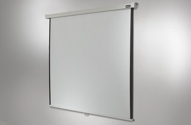 Actual product image Celexon Rollo Professional, Canvas, 1:1 (87.68", 1:1)