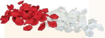 Image du produit Dekomat Fleur artificielle pétales de rose 60 pièces, blanc