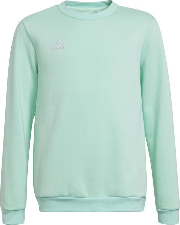 Image du produit adidas Entrada 22 Sweatshirt enfants (152)