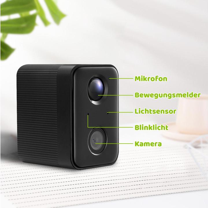 Actual product image Sanilu Clean Sanilu Vogel Nistkasten mit Kamera, Tierart: Vogel, Produkttyp