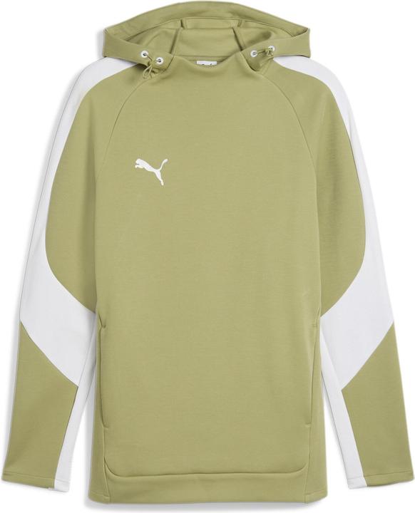 Puma teamEVOSTRIPE Hoody