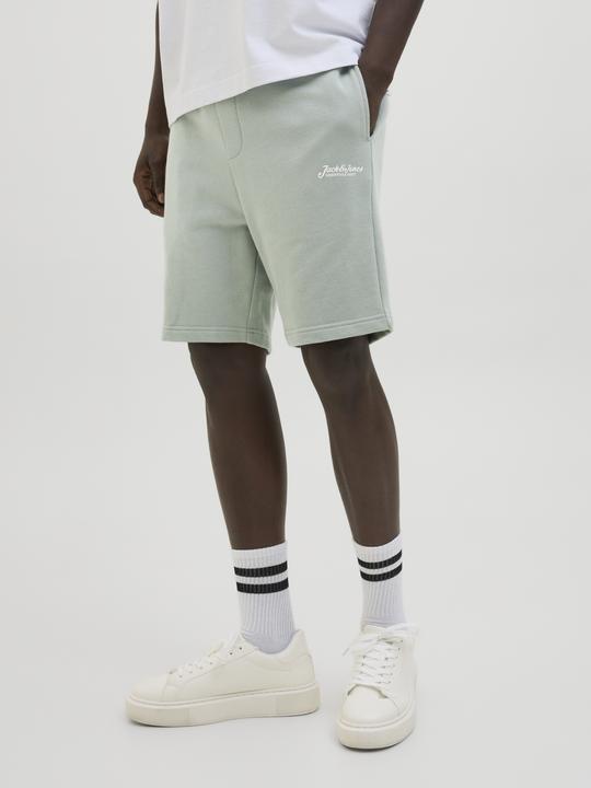 Immagine prodotto Jack & Jones Regular Fit Shorts Shorts (M)