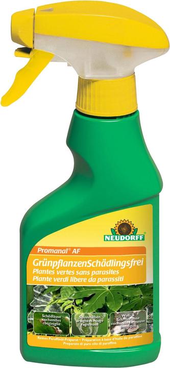 Neudorff Promanal AF (Mealy bugs, Red spider mites)