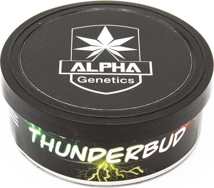 Actual product image Alpha Genetics Thunderbud Seeds 5pcs (Seedlings)