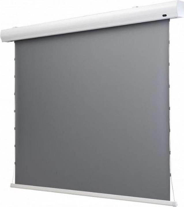 Celexon Schermo a tensione HomeCinema Dynamic Slate ALR 221x124cm 16:9 (100", 16:9)