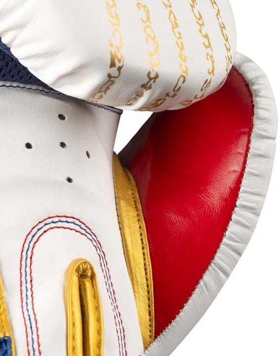 Produktbild Phantom Athletics Muay Thai Boxhandschuhe (16 OZ, One Size)