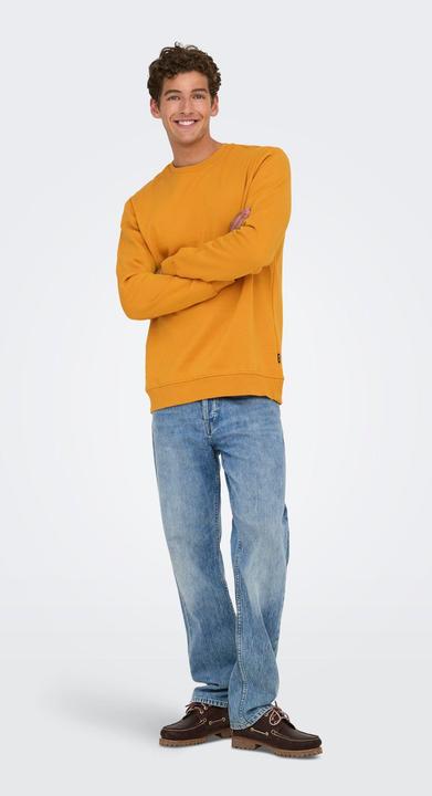 Produktbild Only & Sons Onsconnor Reg Crew Neck Sweat Noos (M)
