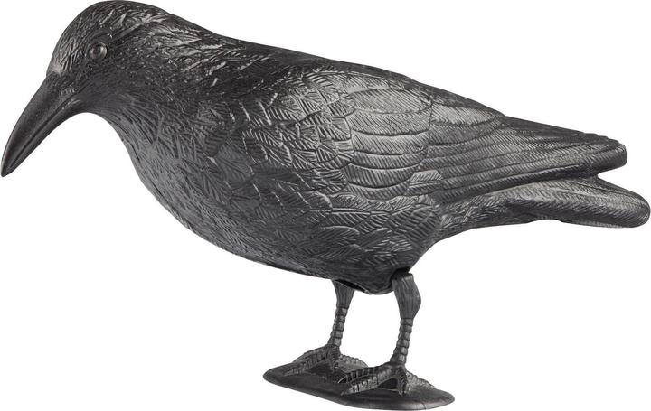 Actual product image Windhager Animal figure raven 37cm, black