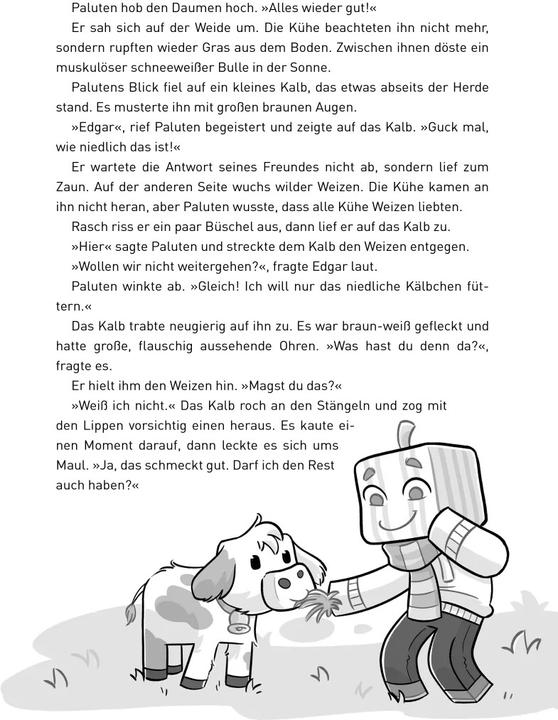 Produktbild Donnerwetter am Mount Schmeverest (Deutsch, Paluten, Klaas Kern, 2021)