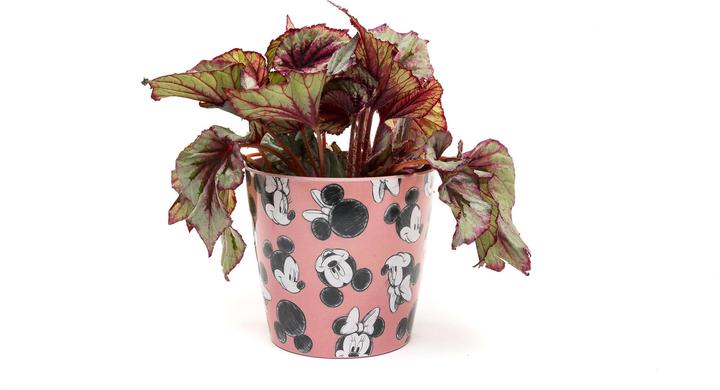 Actual product image Jardinopia Flowerpot Eco Pots Micky, Pink, Set of 3 (14 cm)