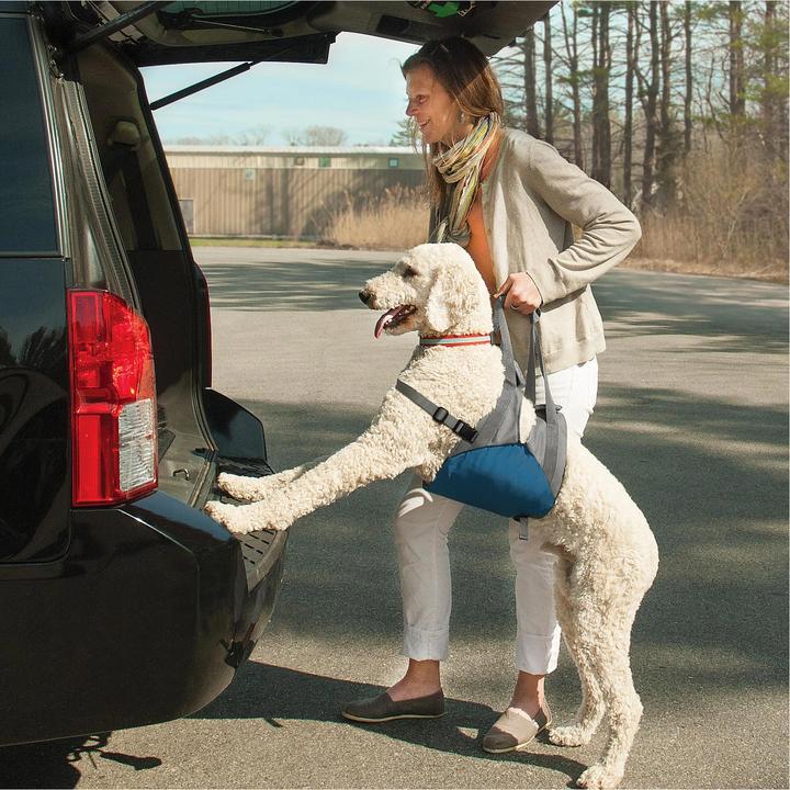 Image du produit Kurgo Up and About Harnais de levage (Chien, Réflecteurs)