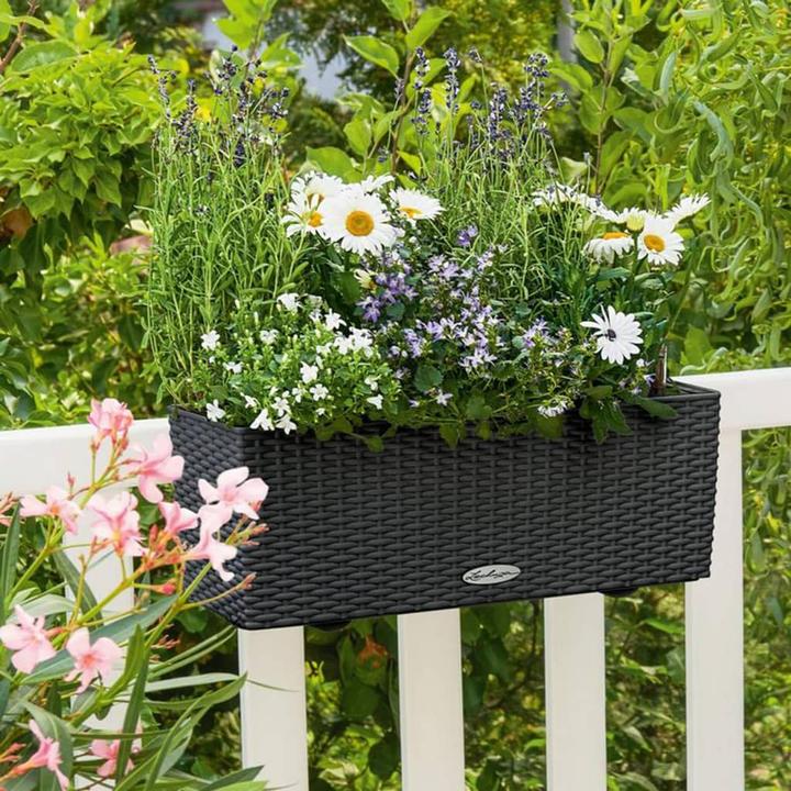 Produktbild Lechuza Balconera Cottage (19 cm)