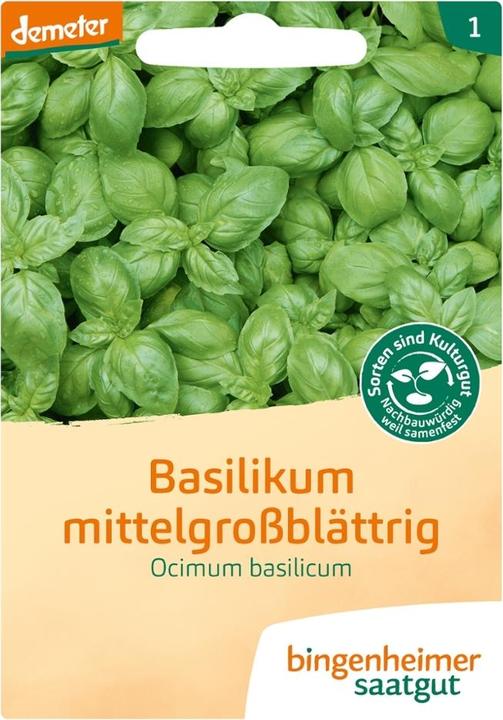 Actual product image Bingenheimer Saatgut Basil medium large leaf (Seedlings)