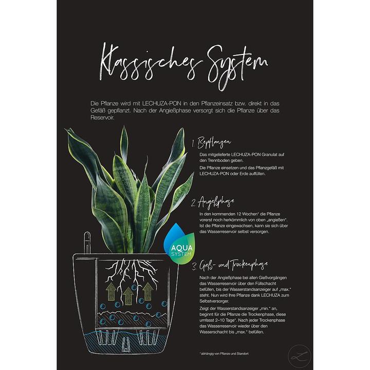 Produktbild Lechuza Classico (28.50 cm)