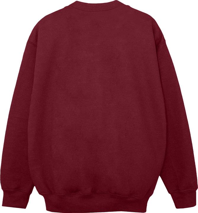 Actual product image Elf Womens/Ladies Family Shot Sweatshirt (M)