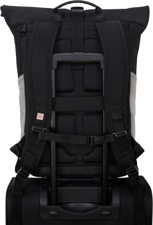 Image du produit Johnny Urban Allen (19 l)