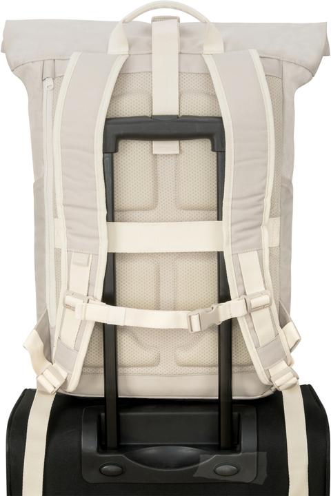 Actual product image Johnny Urban Allen (19 l)