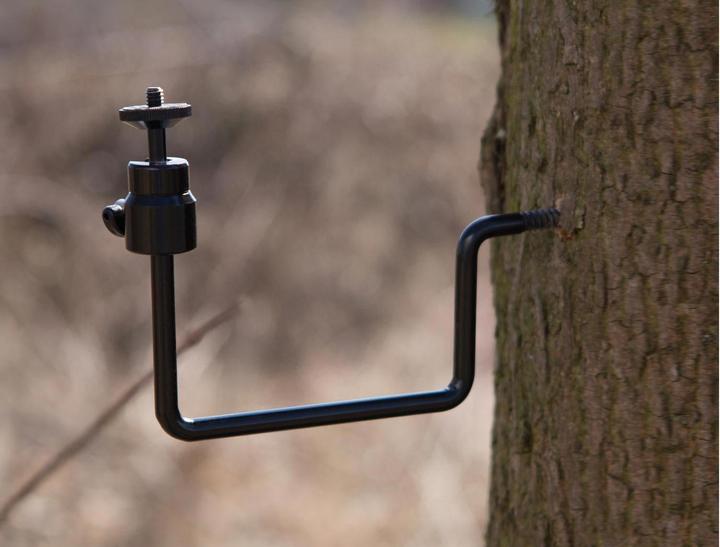 Actual product image Dörr Tree screw