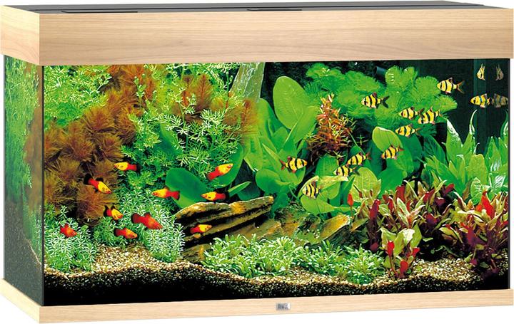 Actual product image Juwel Aquarium Rio (125 l)