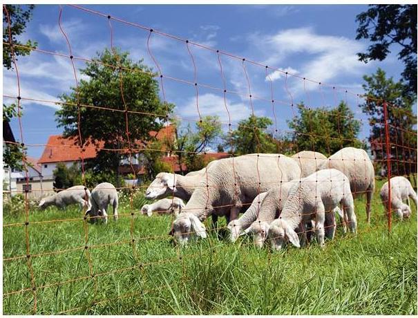 Actual product image Kerbl OviNet sheep net orange Height: 90 cm - single tip