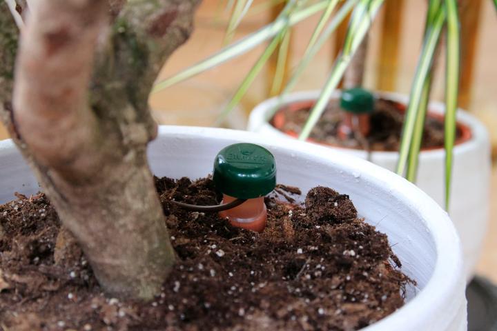 Actual product image Blumat Water dispenser (Clay cone)