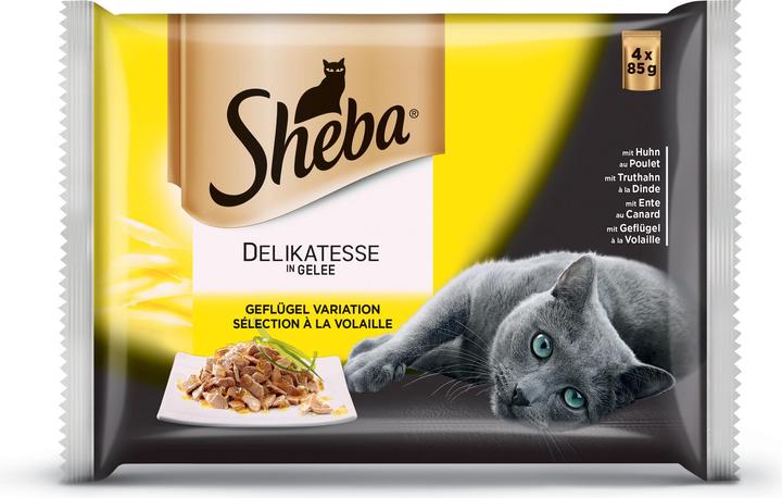 Sheba Delikatesse in Gelee