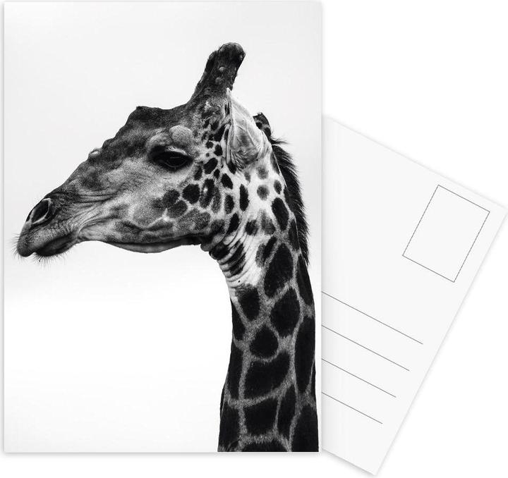 Produktbild Juniqe Giraph - Giraffen (10 Stk.)