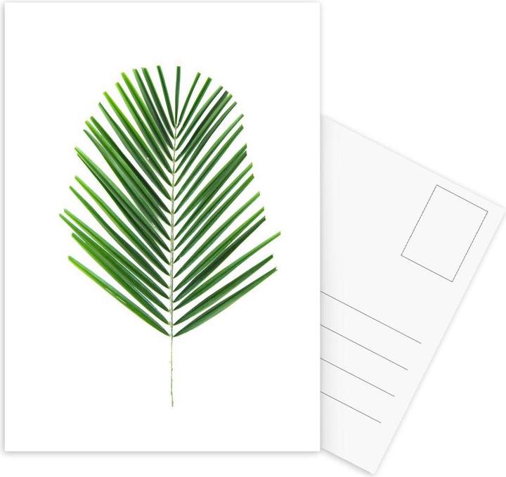 Immagine prodotto Juniqe Palma - Palme (3 pz.)