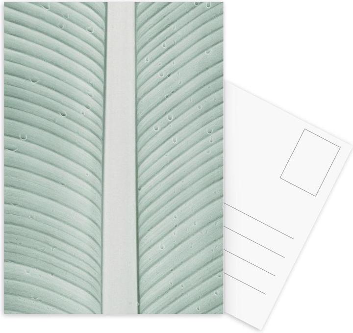Image du produit Juniqe Strelitzia 01 - Feuilles & Plantes (5 pcs)