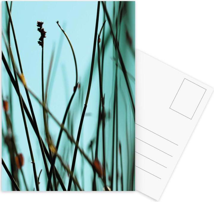 Actual product image Juniqe Destination Rotterdam - Botanical (3 pcs.)